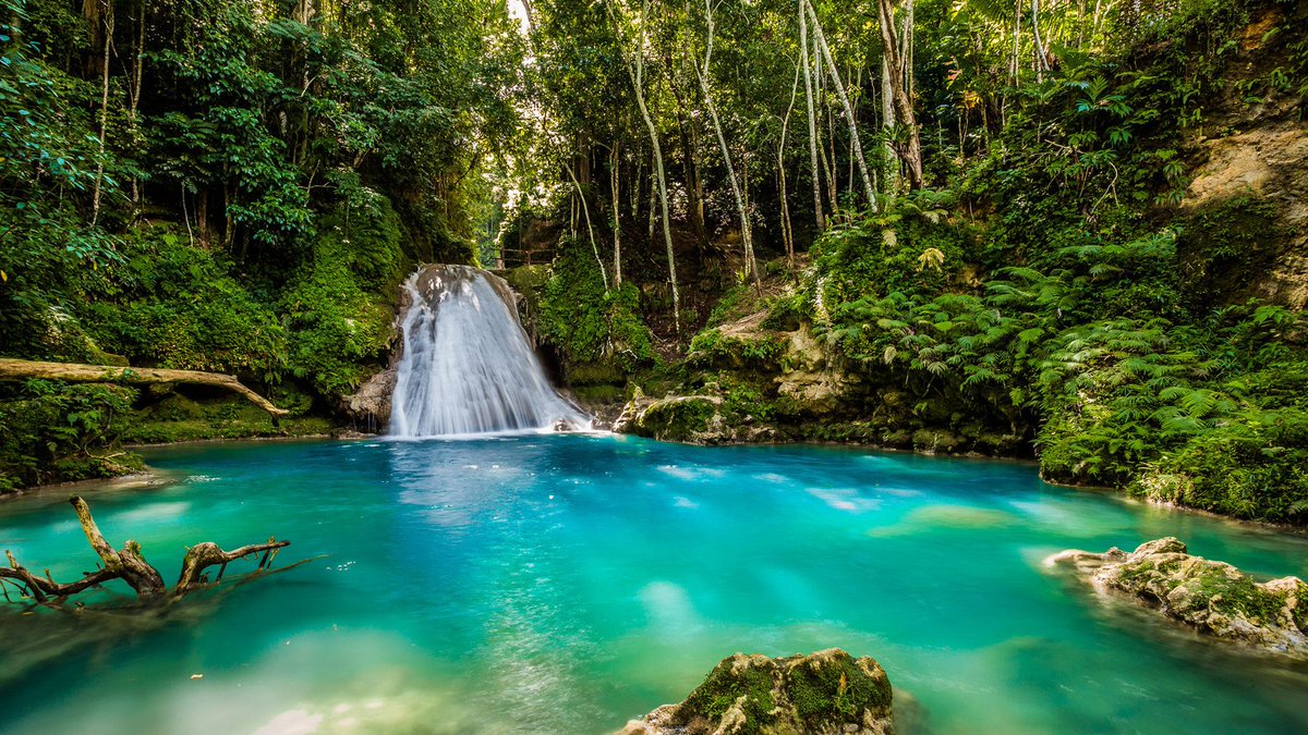 There are a lot of great reasons to visit Jamaica, from the music and cuisine to the beaches. But did you know this Caribbean nation also boasts some of the world’s most incredible waterfalls, grottos, and swimming holes?