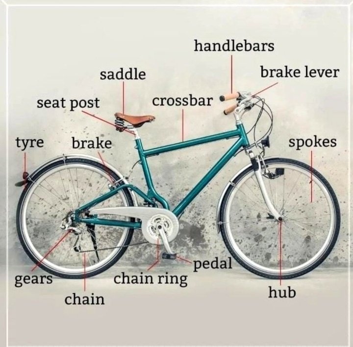 Bicycle Vocabulary.