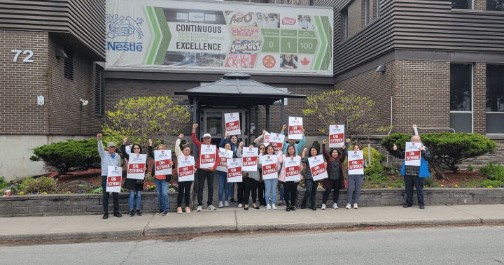 Hundreds strike at Nestle chocolate plant in Toronto, Unifor says dlvr.it/T6Tmgk