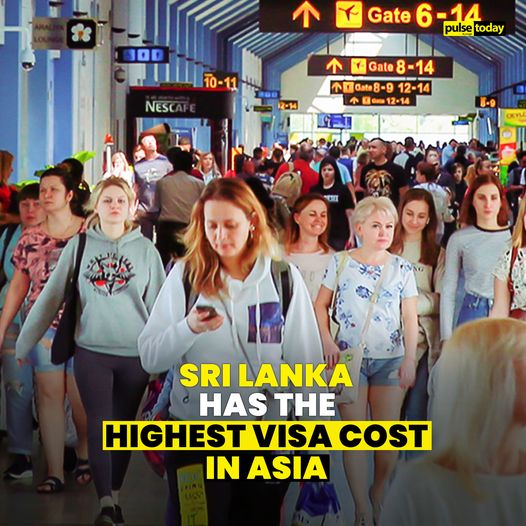 A recent study indicates Sri Lanka's visa costs have skyrocketed, now the highest in Asia, making it less attractive compared to other destinations like Thailand or Vietnam.
Read more: t.ly/oyGkl

#PulseToday #SriLanka #SLNews #lka #Visa #VisitSriLanka #TourismSL