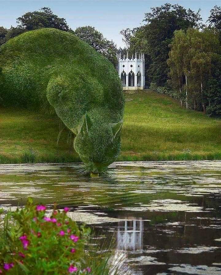 Surrealist topiary Cat at Painshill Park, England. 
Art by ©Richard Saunders.
