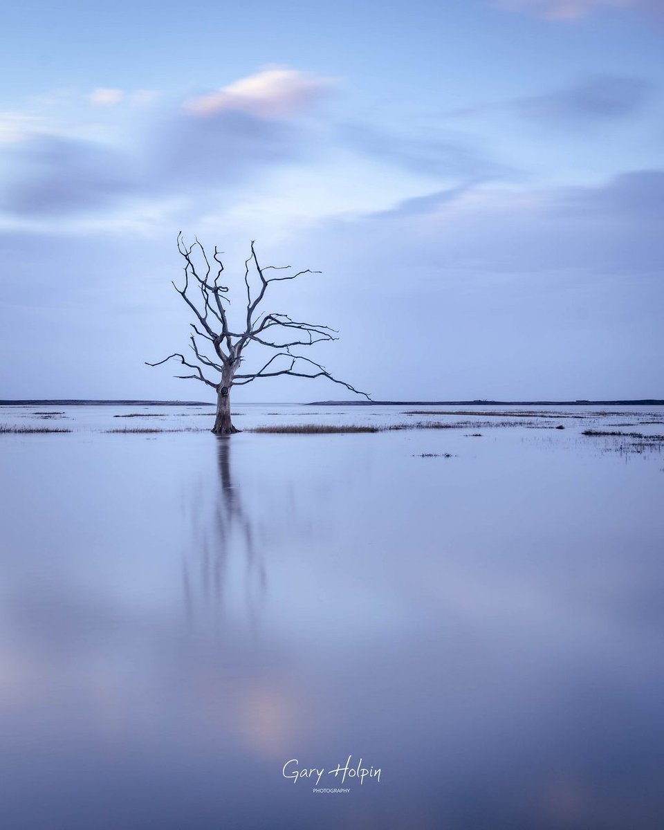 Morning! This week is reflections week (one of my favourite subjects!) and we're kicking off with a lone tree at high tide on Porlock Marsh... 👇 #dailyphotos #mondaymotivation #bankholidaymonday #somerset #thephotohour