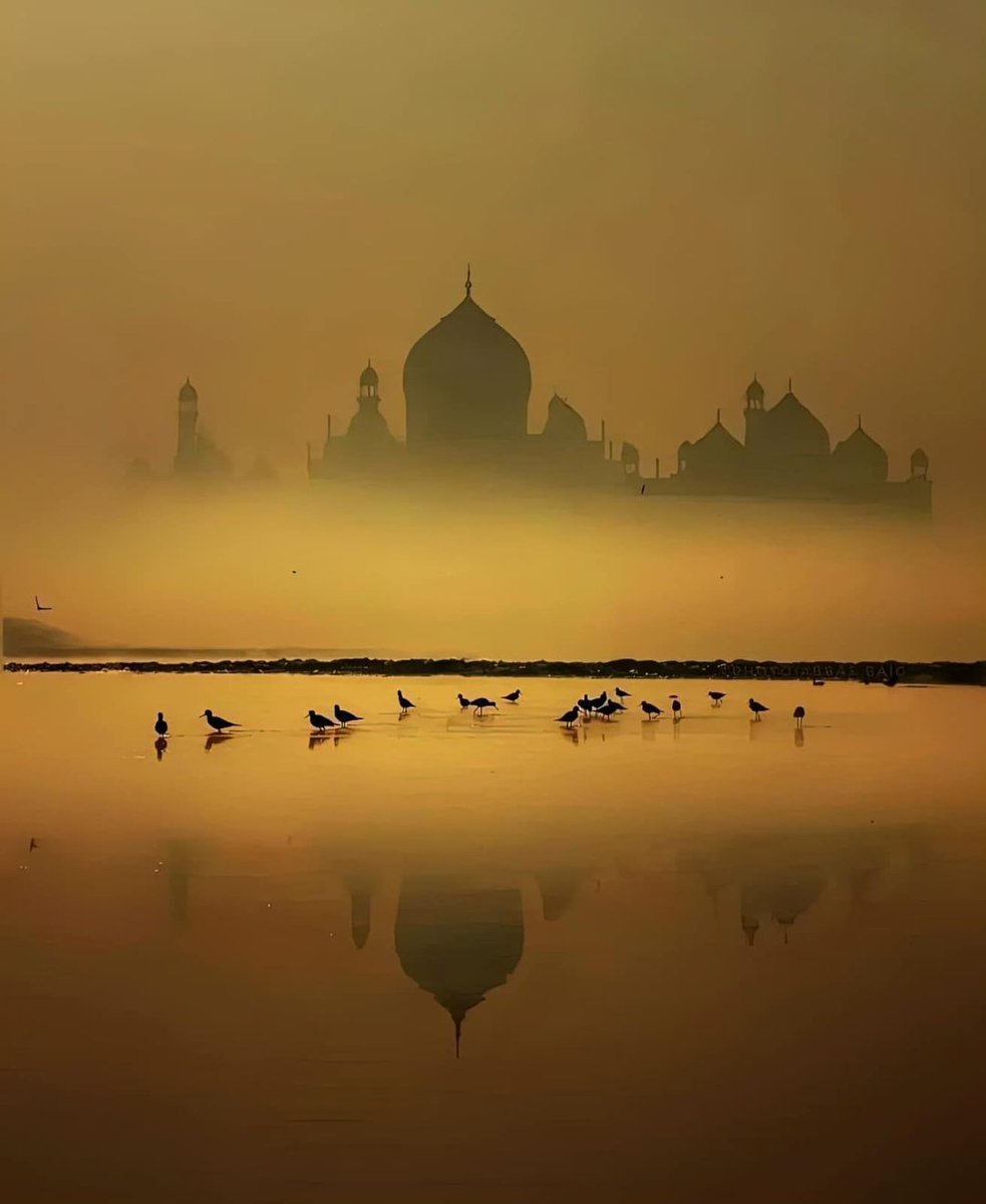 Good morning a very nice new week for all Misty Morning in India 🇮🇳 📷© Abbas Baig