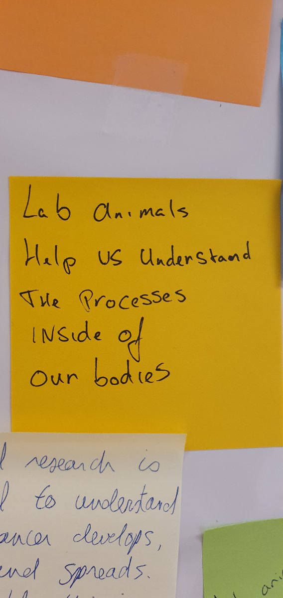 At the NKI, we've asked animal facility workers and researchers to share their thoughts on laboratory animal research for fundamental and translational cancer research. Here is one point of view to start your new week. Have a nice week.