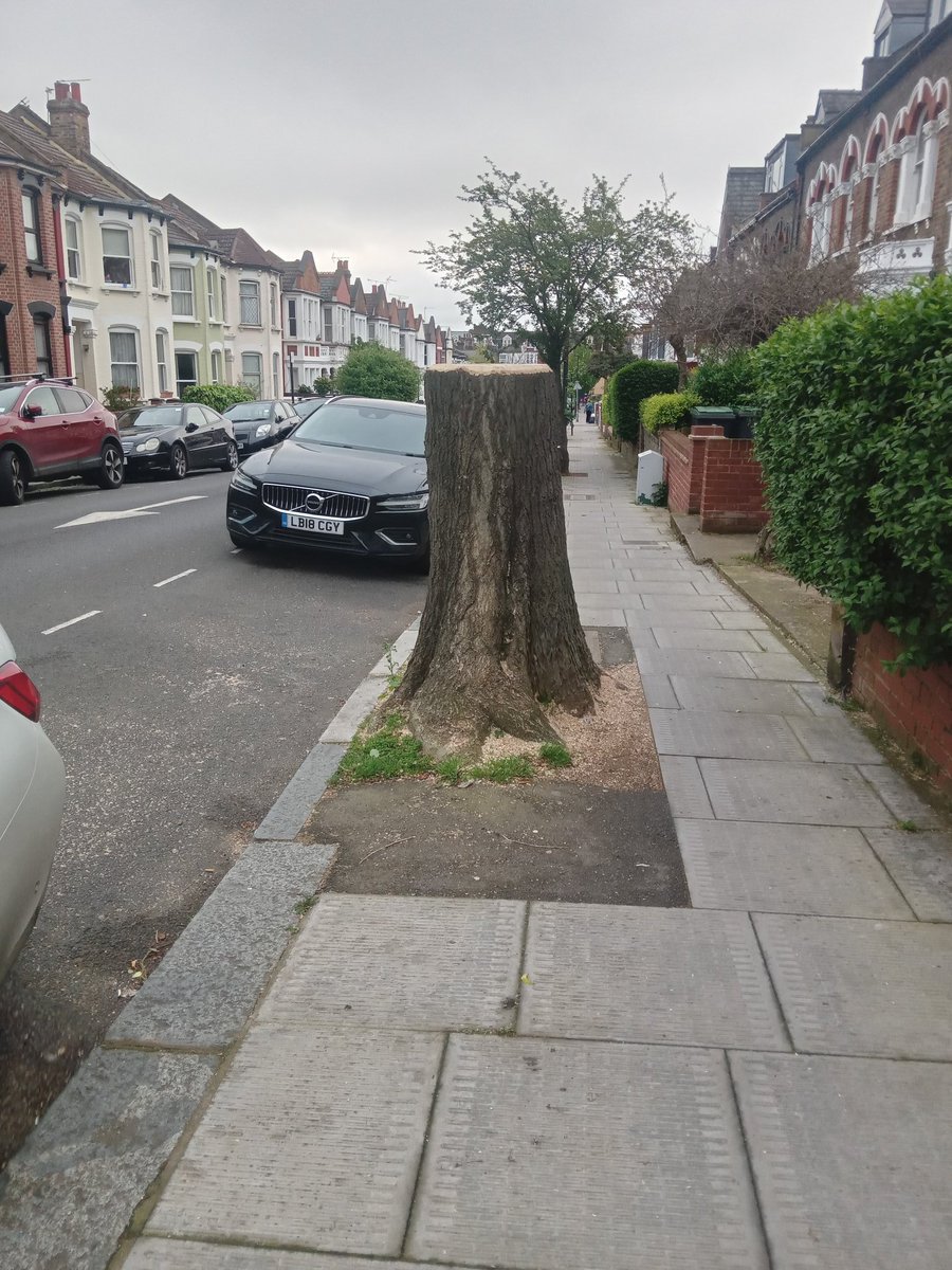 @SadiqKhan Can we now have a London-wide policy for PROTECTING MATURE trees? Trees exposed to the whims of insurers, developers, road builders,landlords, & residents themselves. No @LondonAssembly report since 2007! @sabrodrigues61 @JoanneMcCartney @mikehakata @CatherineWest1