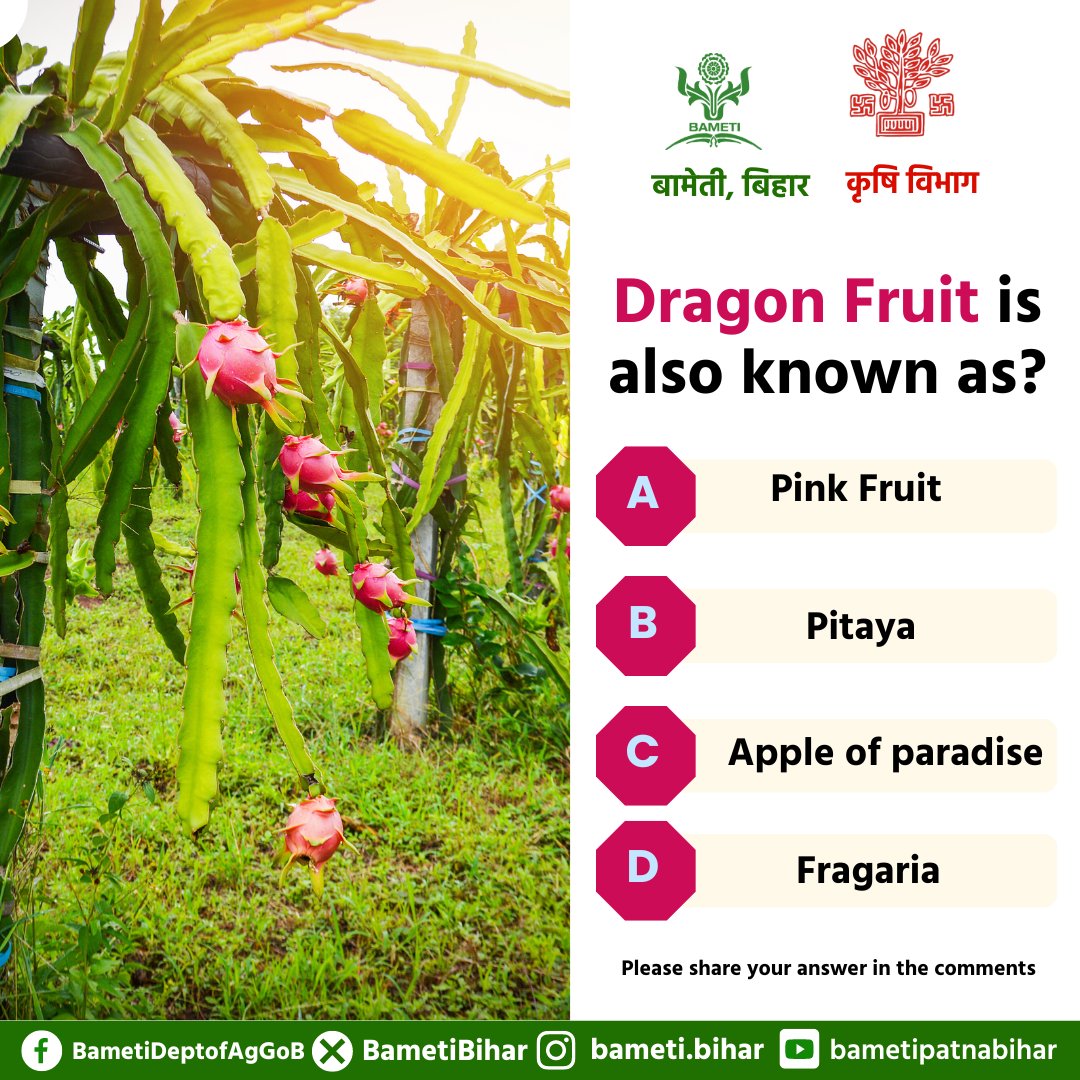 Dragon Fruit is also known as? 

 A) Pink Fruit
 B) Pitaya 
C) Apple of paradise 
D) Fragaria  

Please share your answer in the comments.  
#agriculture #Agriquiz #QuizOfTheDay

@Agribih @SAgarwal_IAS @AgriGoI @abhitwittt @Bau_sabour