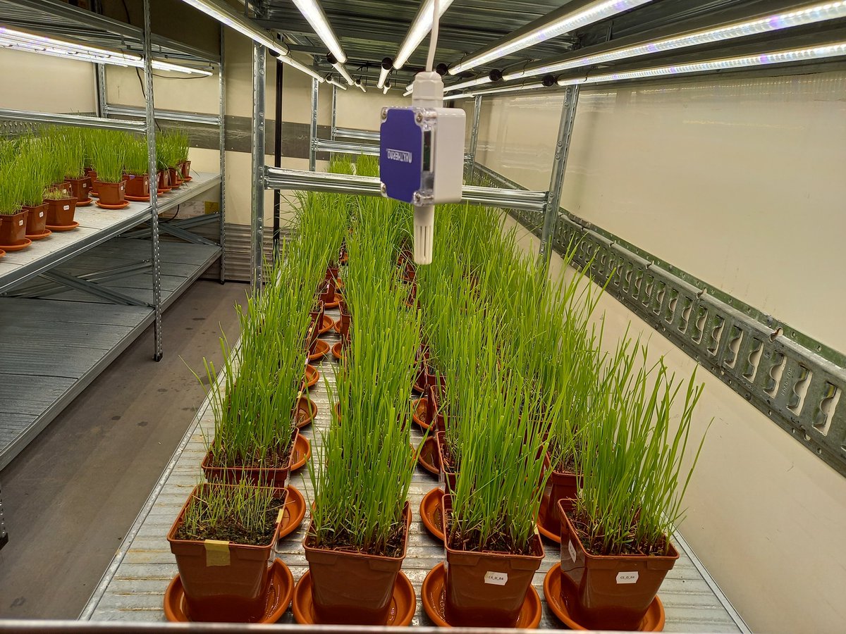 Mathilde Chomel tweet media