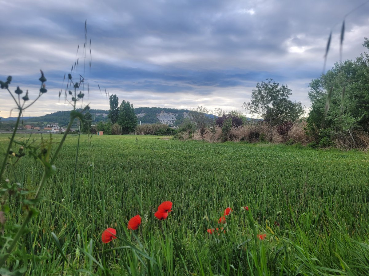 #Bondia des de #Tona comença el dilluns mig ennuvolat i 12°C 
@SoldadoTonyi @rosa_tanti @SoniaPapell @eltemps_rtve  @SergiLoras @alcantara_alb 
@rbartolisala @TomasMolinaB 
@Monica_Usart @AlfredRPico @meteorac1 #eltempstv3 @gemmapuigf @tempsdemeteo