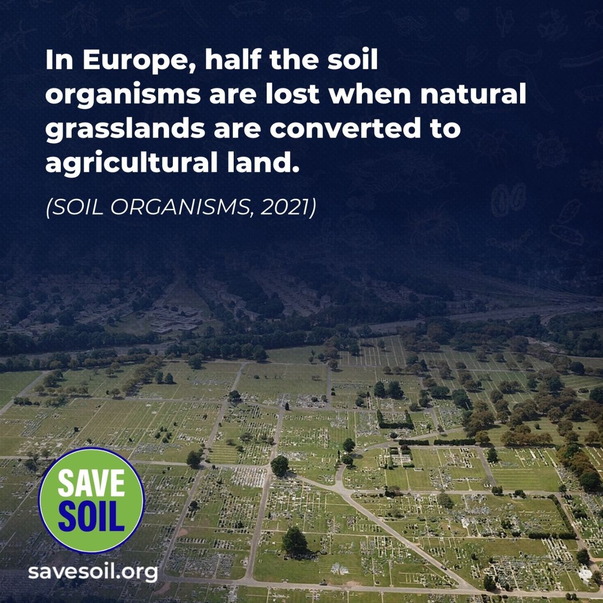 #SaveSoil #savesoilwave #SaveSoilSaveLife #savesoilmovement @SadhguruJV @cpsavesoil #WorldUnitesForSoil  #COP28  #COP28UAE