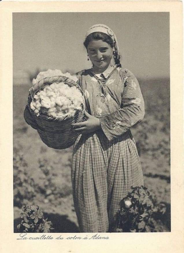 Pamuk toplayan genç kız, Adana, 1960’lar.