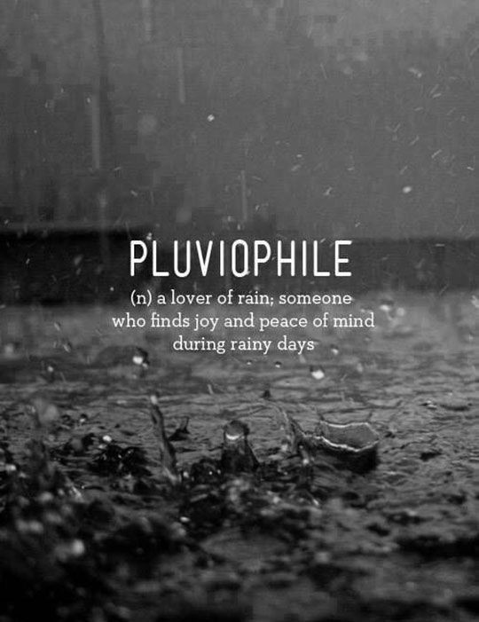 @ianarchiebeck Good morning from Couchistan ❣️

With open windows this pluviophile bathes in petrichor... A happpy smell...