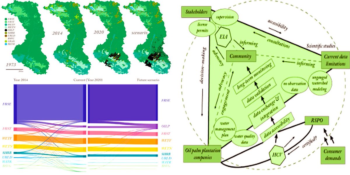 Oil palm plantations can impact hydrological processes in many tropical watersheds, increased surface runoff by 21%, and sediment yields rose by 16.9% in the watershed. Mean annual total nitrogen increased by 78% and total phosphorous by 144% after the plantations' establishment.