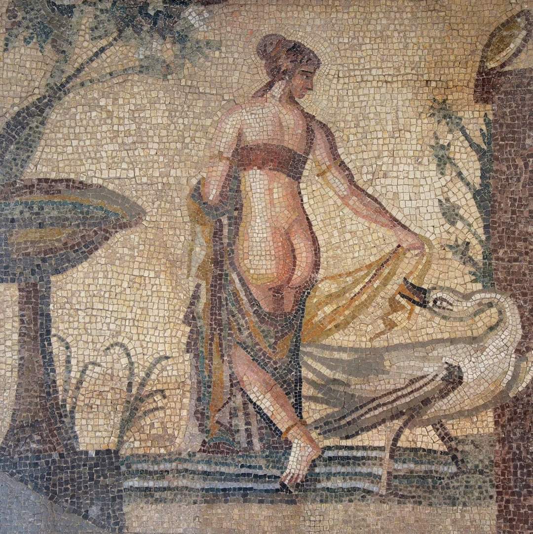 #MosaicMonday
#Roman Mosaic (late 2nd - early 3rd Century AD); depicting Leda and the Swan, once central panel (emblema) of a Mosaic Floor. It was discovered in the vicinity of the Sanctuary of Aphrodite at Palaipafos in Cyprus.
 #Archaeology  #Art #History