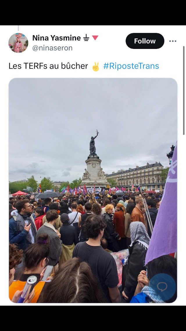 Panot: « La transphobie tue »

Une élue insoumise de Vitry: