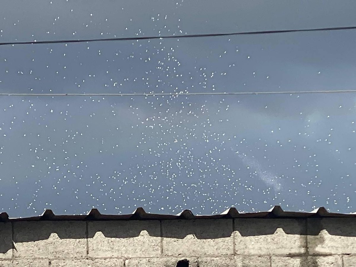 PalHighlight's tweet photo. The Israeli army has dropped leaflets in eastern Rafah, calling on citizens to evacuate the area.

#GazaGenocide https://t.co/RzHIxDa5In