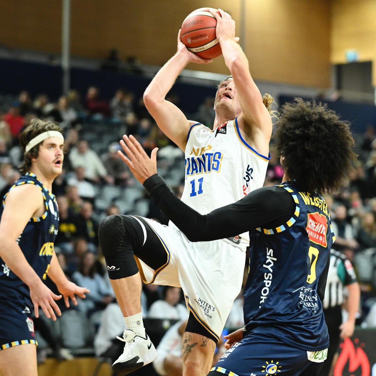 GiantsNZNBL tweet picture