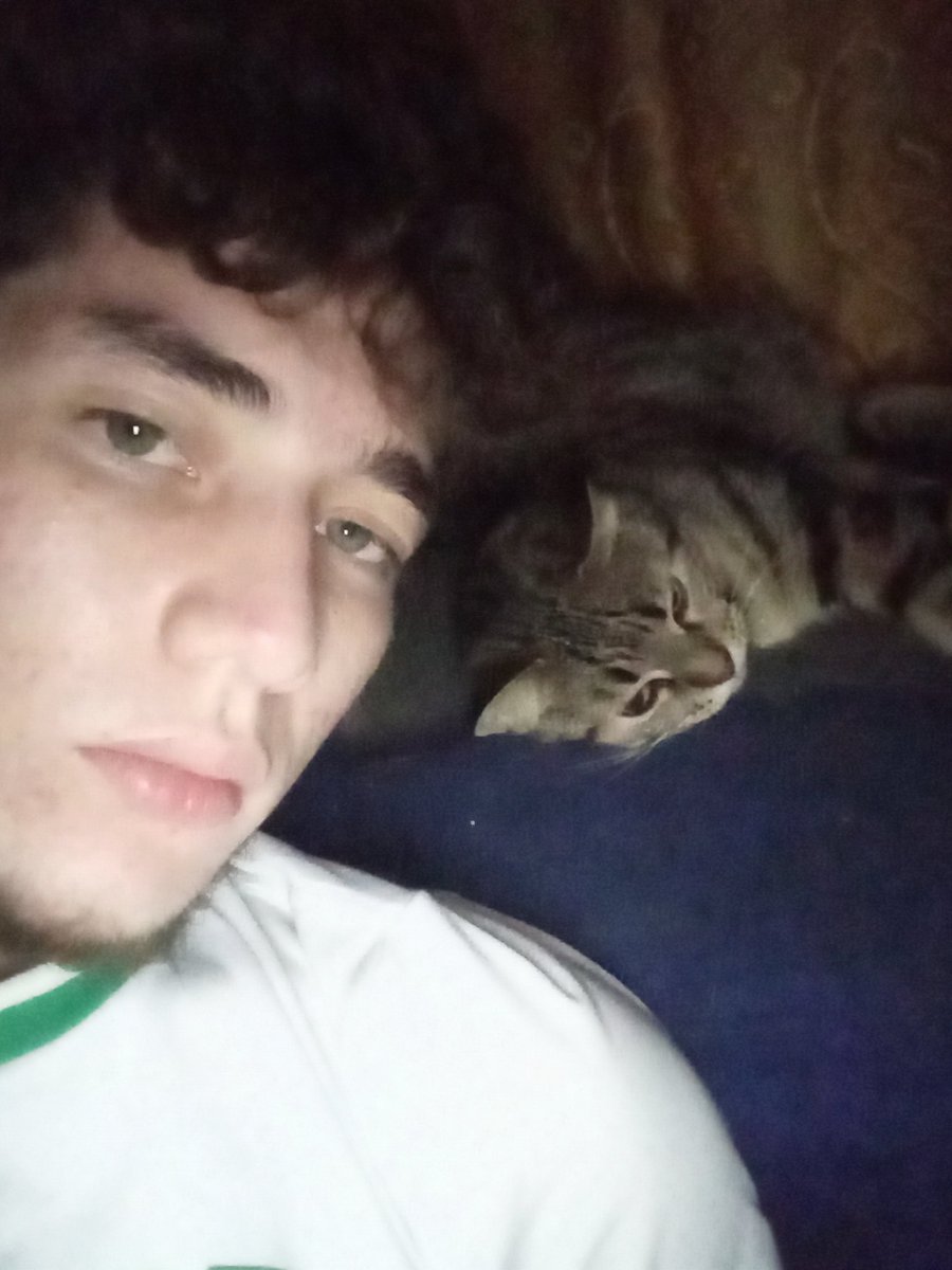 Mi único acompañante por las noches 🫂🌛✨️