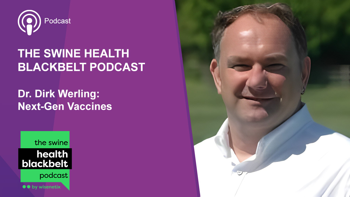 🔊 Our own @DirkWerling was on the @swinecampus 'The Swine Health Blackbelt Podcast' to discuss the future of vaccine development in swine health and enhancing vaccine efficacy. #CentreforVaccinologyandRegenerativeMedicine ➡️ Listen here: rvc.uk.com/swine-health-p…