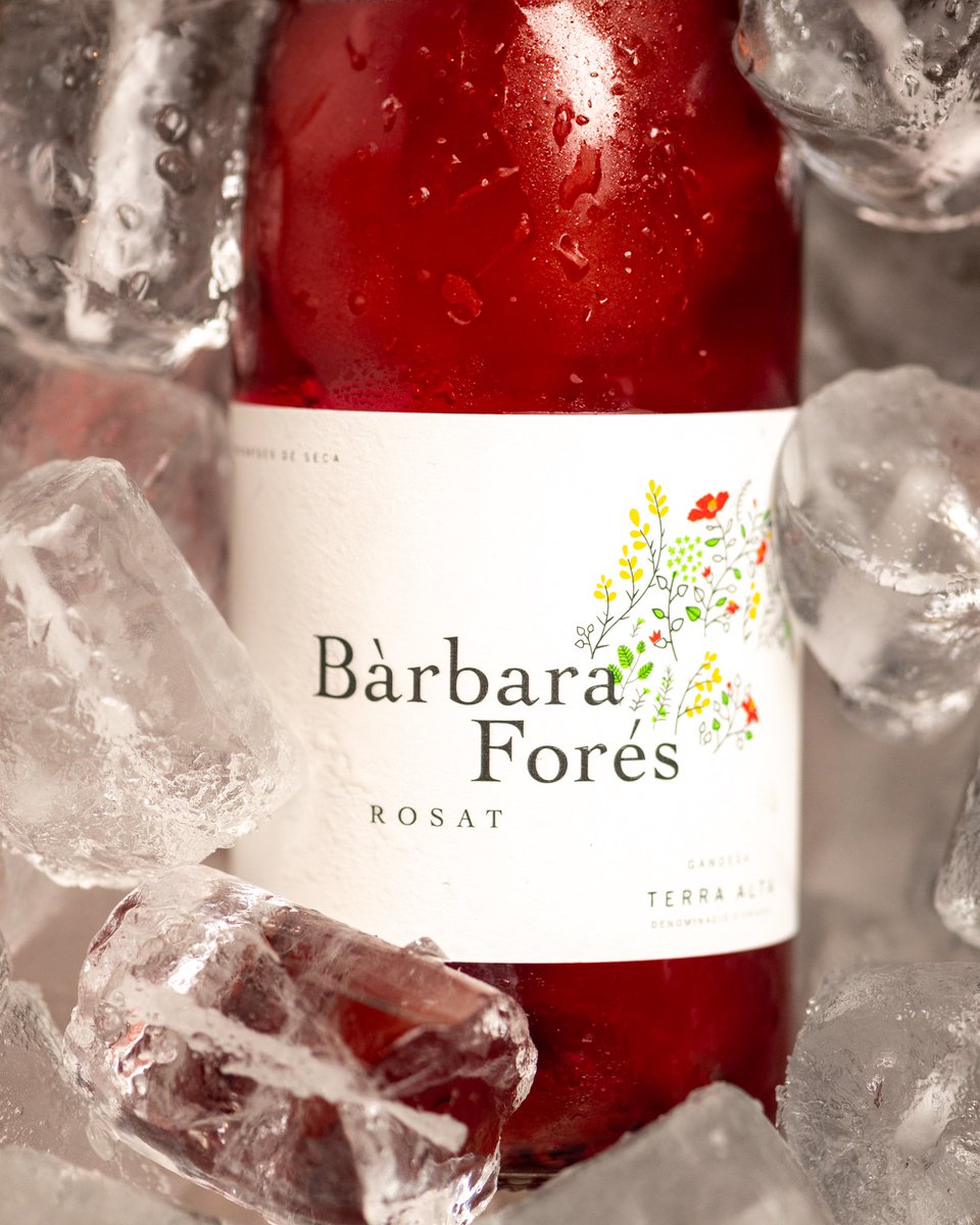 Bàrbara Forés Rosat 2023 está elaborado por Carmen Ferrer y Pili Sanmartín en su bodega familiar de la Terra Alta. Garnacha, cariñena y syrah en un rosado intenso, carnoso, con buena carga frutal y recuerdos de regaliz rojo. Sólo 8.700 botellas #vinodeldía bit.ly/4bjK43z