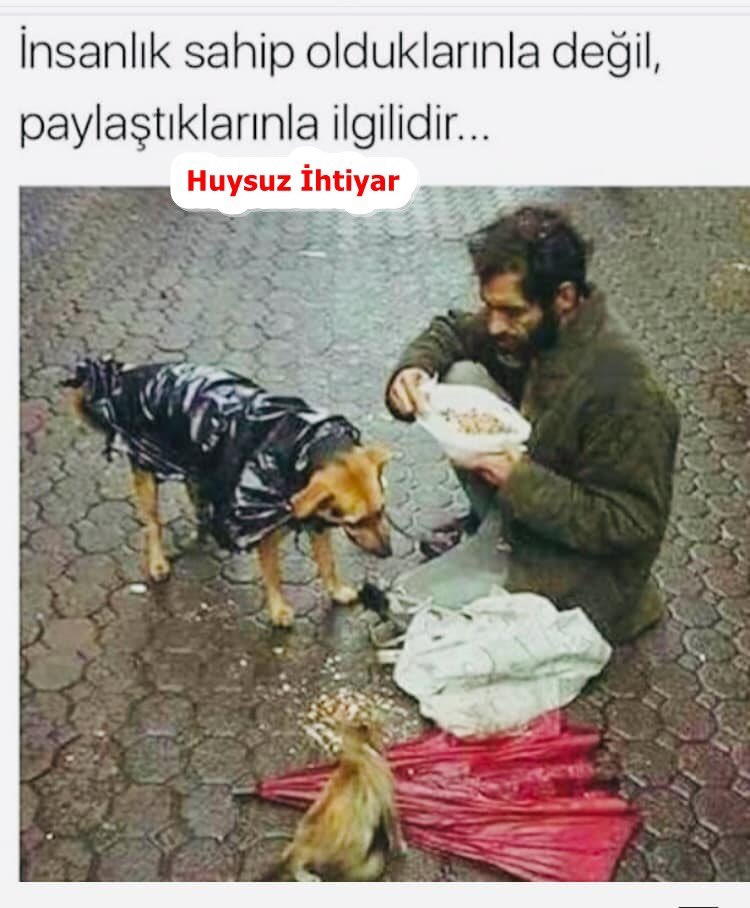 Bazıları konuşur bazıları YAPAR !! Varol canım dernek 🙏🍀🤍🐈🦮@huysuzihtiyardg #SedatÇağırganTutuklansın #GüsoderKapatılsın #MuratPınarTutuklansın #hakanhamdiünaltutuklansın @_ecedrm @task993 @gonjasss  @pinarmcr @MeldaTopyay @adembuyuk42 @Erdoan271076399 @elmyraaaa @hlyays