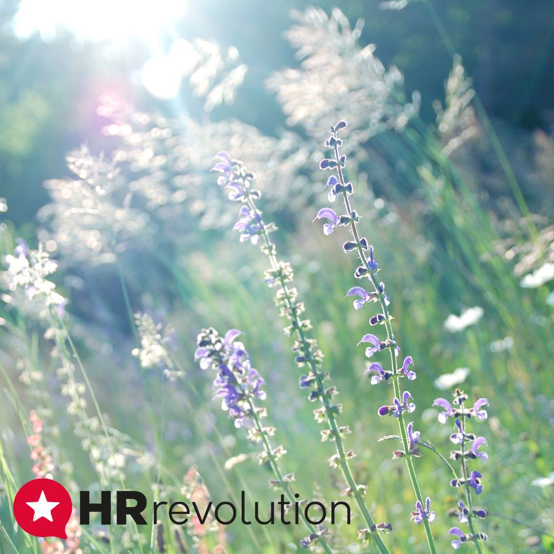 It's the early May Bank Holiday - enjoy the long weekend from the team at HR Revolution! #hr4good #Hrsupport #HRREV #HRSolutions #bankholiday