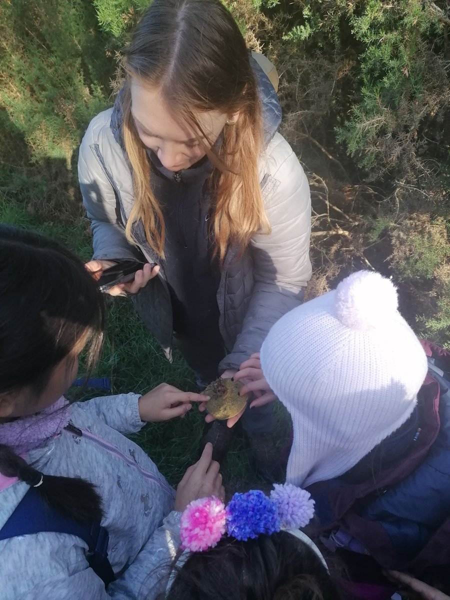May marks #NationalWalkingMonth and at #ForestSchool our children just love going for a #nature ramble during their #halfterm workshops learning all about the seasonal activity in the woods🐾#OutdoorEd #OutdoorLearning #Kingston #Richmond #Kingstonmums #Richmondmums