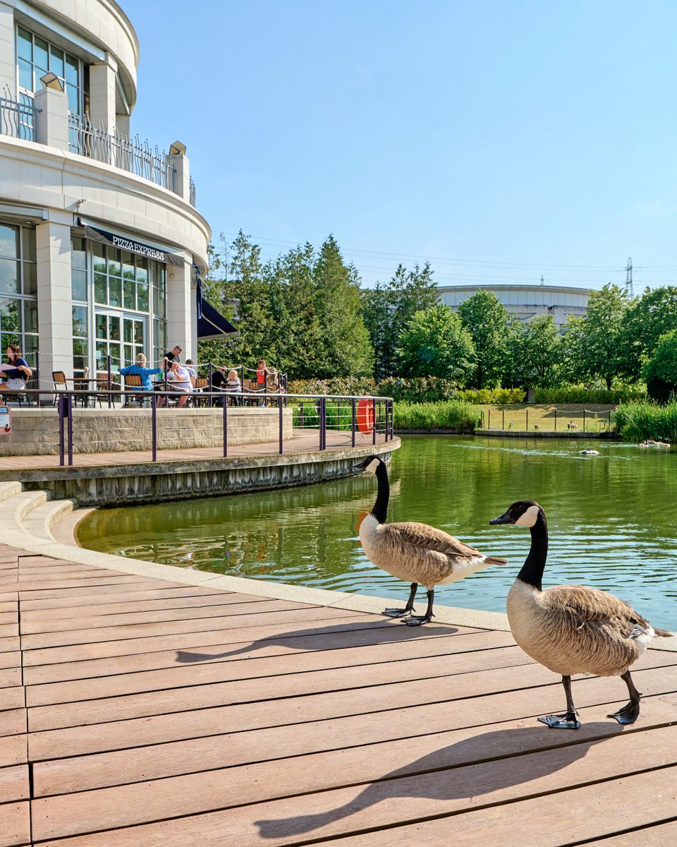 Planning a trip to the centre? This Bank Holiday Monday, opening hours are 10am to 7pm! 🦆 🛍️ ☀️ Please check with brands for individual opening hours. Have a wonderful long weekend!