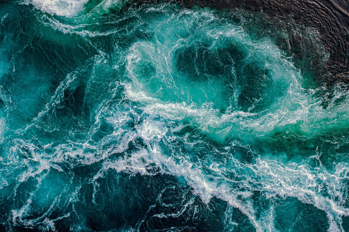🤔How can we incorporate environmental factors in Management Strategy Evaluations?
🌊Join upcoming ICES/@SEAwiseproject workshop #WKEcoMSE to quality assure methods used.
🗓21–24 May 2024 online
🔔Register by 6 May (TODAY)
ℹices.dk/community/grou…
#EBFM #fisheries #climate #MSE