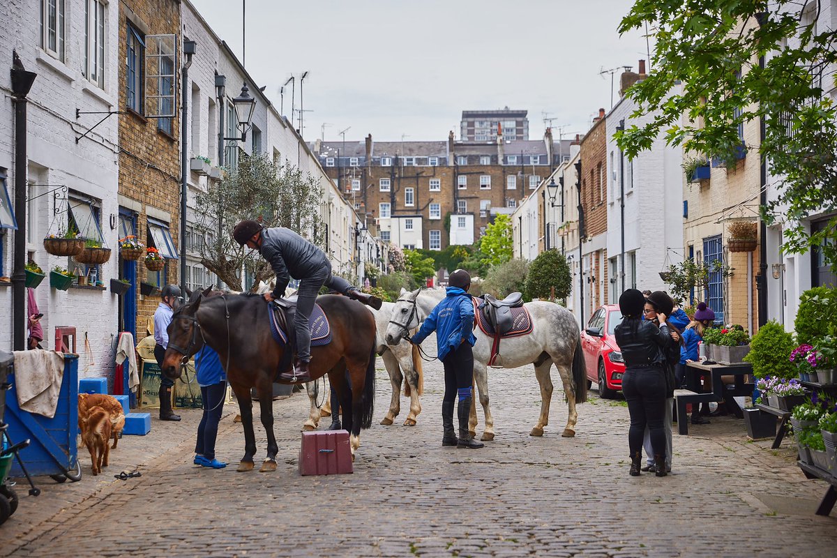 Discover Bathurst Mews on a walk between Paddington and the museums of South Ken. 🚶‍♀️For centuries, London developments were built with mews for carriages and horses. 🐴 Most are now houses, but here two stables survive! discoversouthken.com/footways/ #walktoexplore #BankHolidayMonday