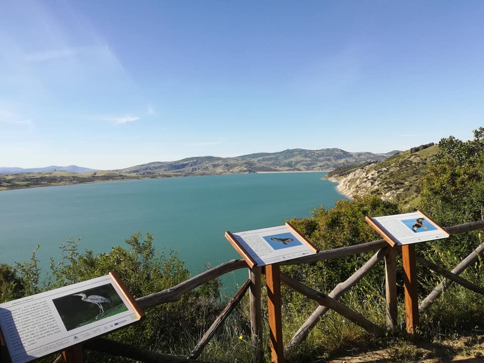 L’Osservatorio Avifaunistico, è un centro per l’osservazione, lo studio e la ricerca di avifauna e ambiente a Senise...
Approfondisci: isentieridelpollino.it/osservatorio-a…

Foto: ©Associazione Argento Vivo

#osservatorioavifaunistico #avifauna #senise #parconazionaledelpollino