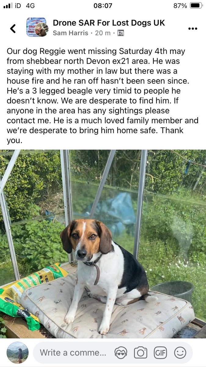 Please share- missing due to house fire. Area: Devon EX21 
He’s a 3 legged beagle, very timid.