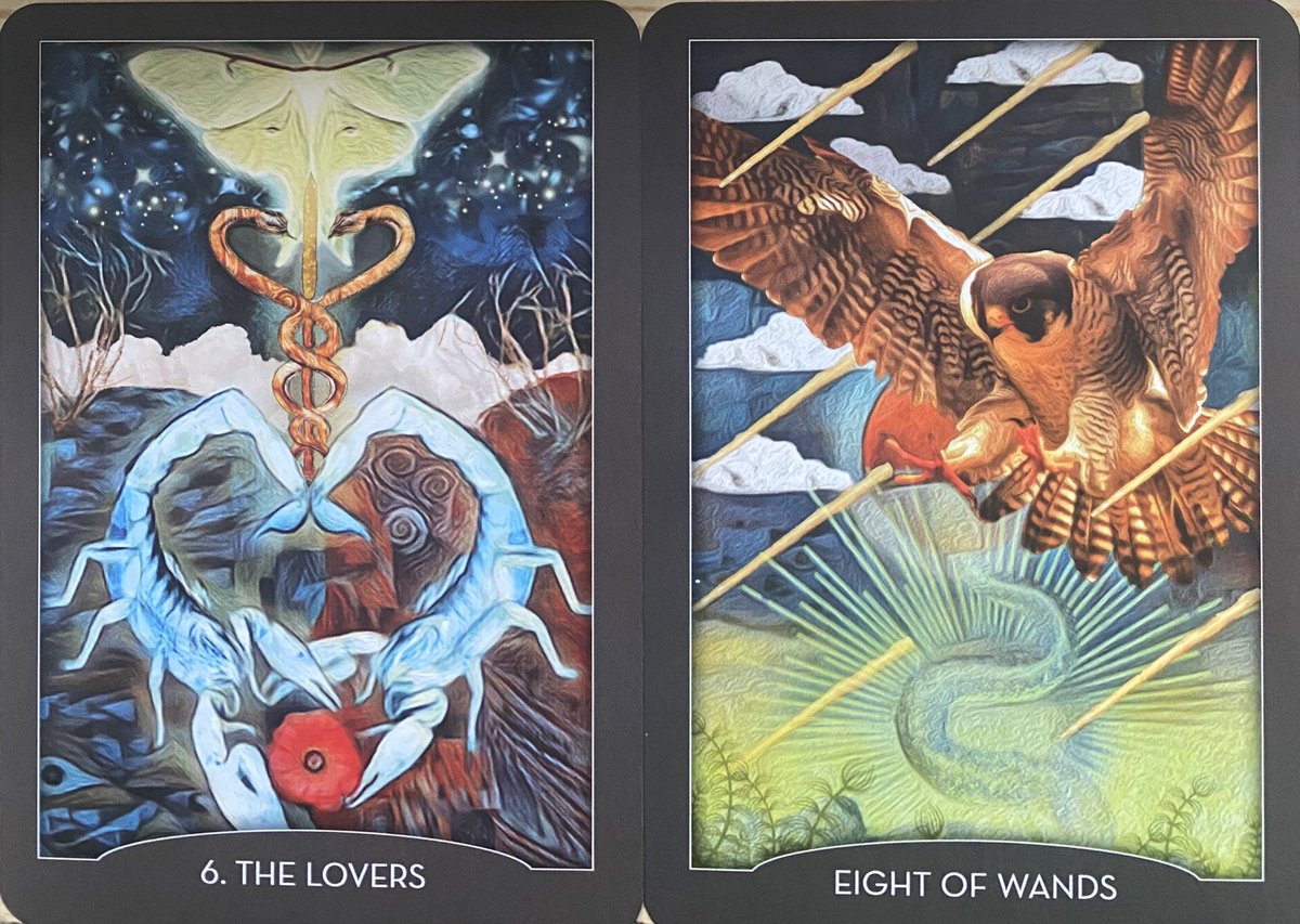 Don’t let excitement cloud your judgement. Use your intuition to seek a connection built on shared values, not just fleeting thrills. #dailytarot #TarotReading #tarot