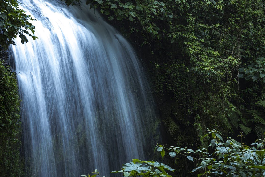 #KapkwaiForest in Mount Elgon National Park has some of the best hiking trails starting at the Kapkwai Forest Exploration Center. Kapkwai has a secondary forest section that has trees planted about 30 years ago and the primary section with trees as old as 500 years. It is home…