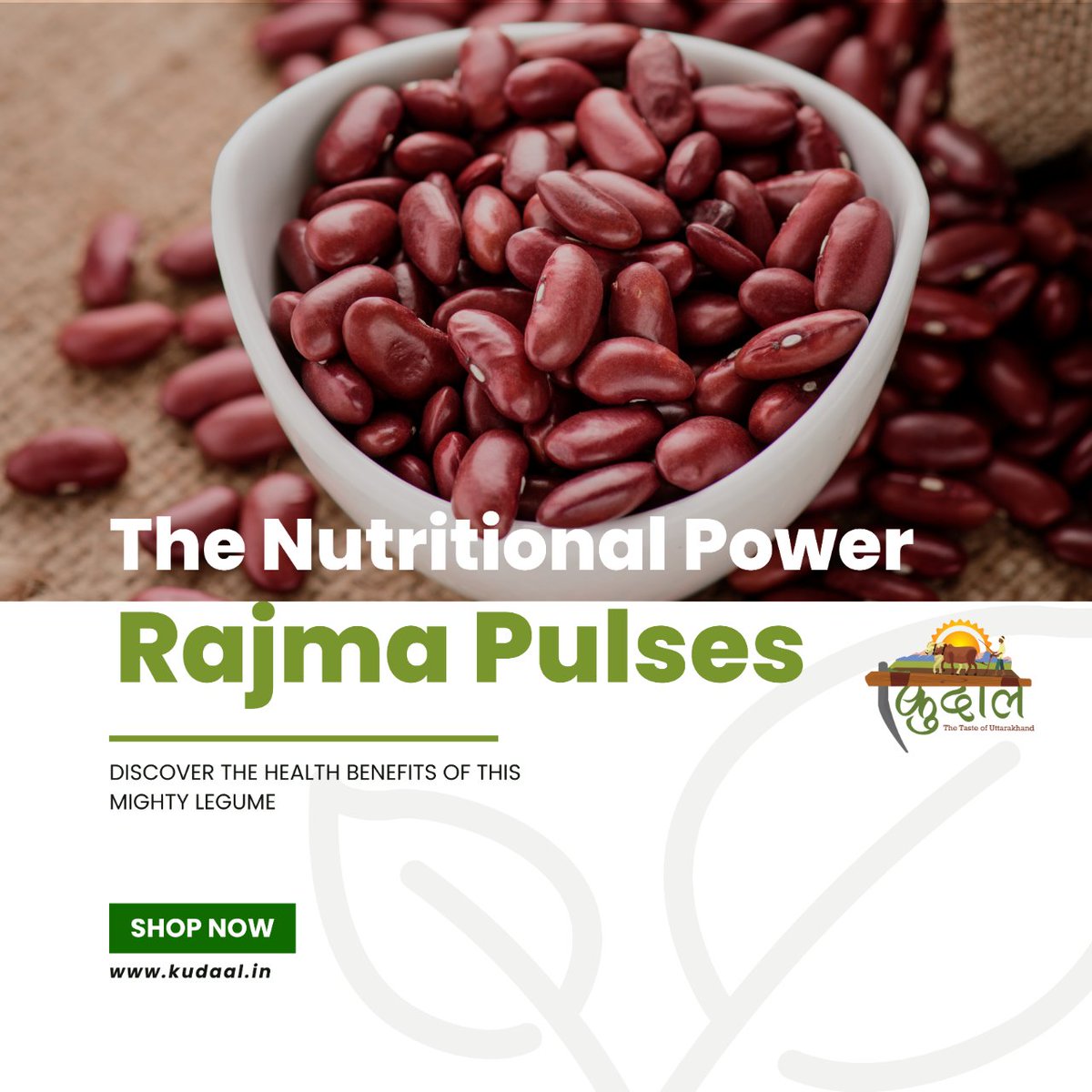 Rajma pulses are not just a delicious addition to your meals; they're a powerhouse of nutrition! Learn why these beans deserve a place on your plate. #RajmaRevelation #NutritionFacts #HealthyEating #PlantBasedProtein #FiberRich #IronSource #VitaminBoost #HeartHealth #kudaal