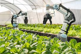 Betagro launches $30m foodtech, agritech VC arm