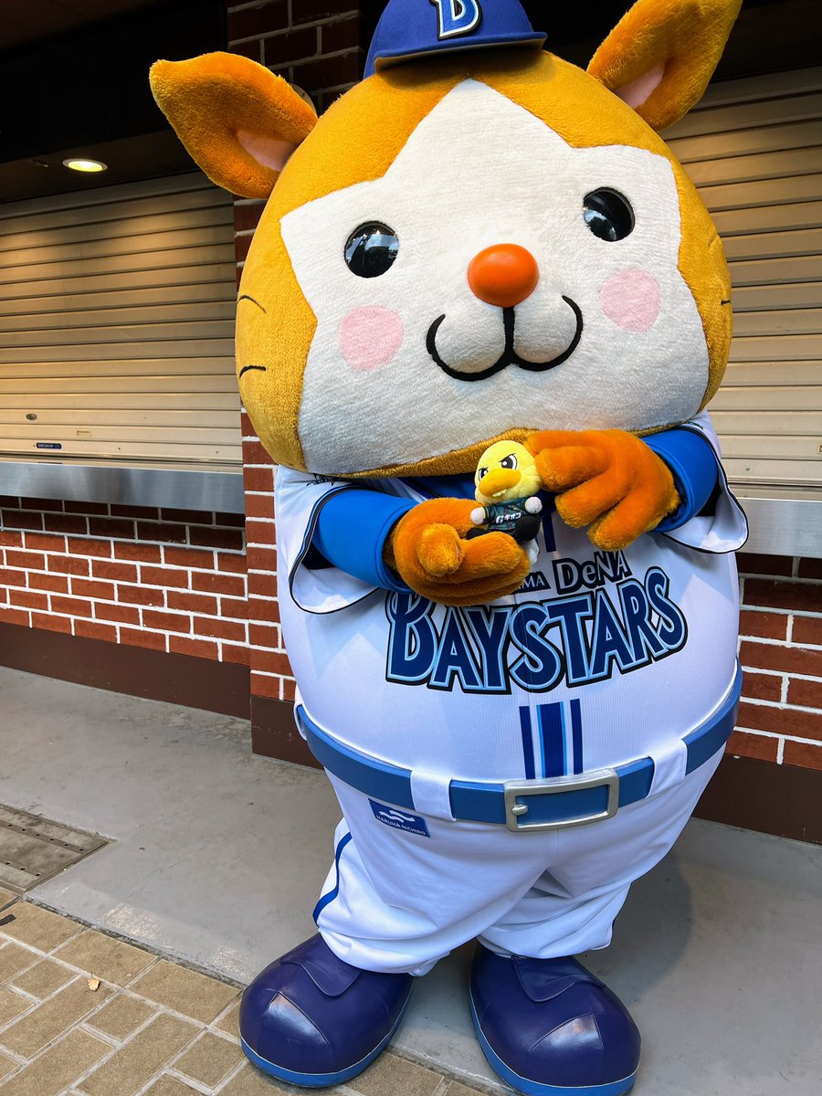 ガミちゃんとスターマン！
ハマスタでも一緒☺️
#スターマン
#ガミティ
#baystars
#SC相模原
2024/5/6