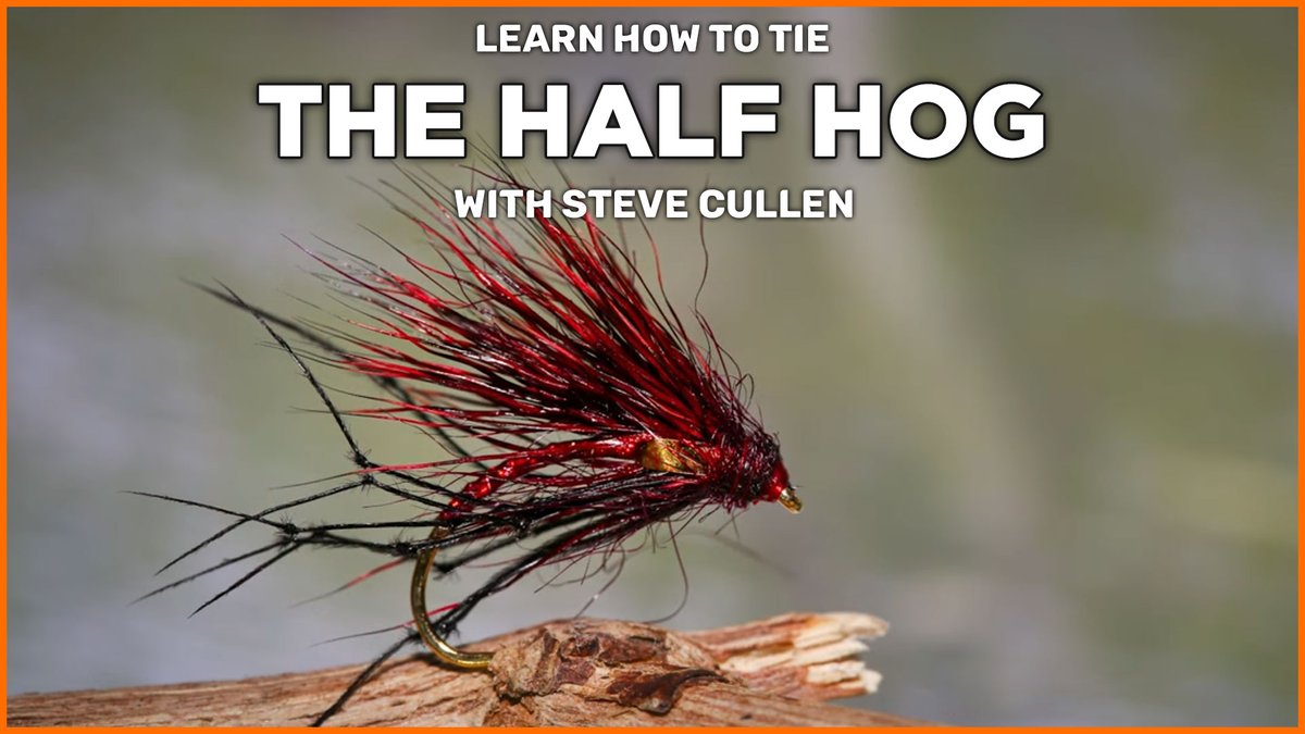 Today we are taking a look at a cool wild Brown Trout pattern called the Half Hog, tied by Steve Cullen. It's a challenging little fly to tie, but it's worth the time and effort, especially if you're intending to fish any rivers or reservoirs 🔗 blog.fishingmegastore.com/2024/05/how-to…