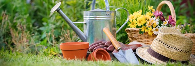 Have you been out in the garden this #bankholiday? Last week’s #digiknow guide covered 🌷nature apps🌷linked to gardening and nature (Iris, Shroomify, British Trees, Smart Bird ID, iRecord Butterflies, The Big Butterfly Count, Seek). Access it free here:
startingpoint.getlearnworlds.com/?msg=not-logge…