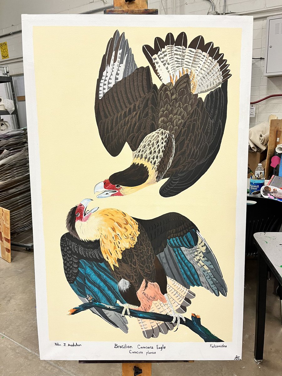 Did a recreation of John Audubon’s “Brazilian Caracara Eagle” (now known as just Crested Caracaras) acrylic on canvas. Took about 3 weeks and I am happy with the results granted I was trying a new style with this