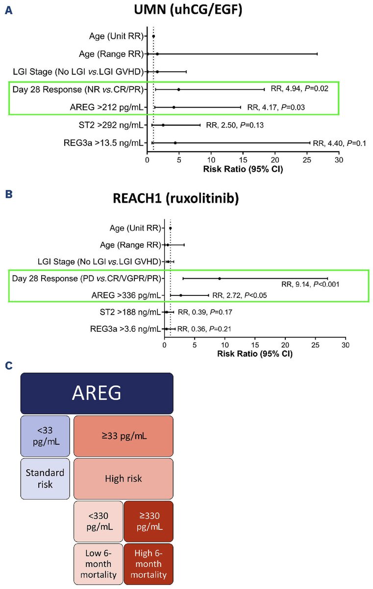 The new study by Holtan et al. analyzes the role of amphiregulin (AREG) as a non-invasive biomarker for the risk assessment and monitoring of life-threatening acute graft-versus-host disease (GvHD). haematologica.org/article/view/h…