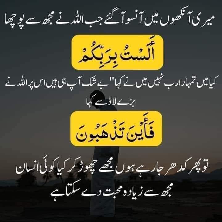 Ksi or k agy na jhuko
#pti_lovers