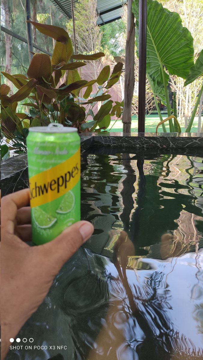 TR Bangkok tweet media