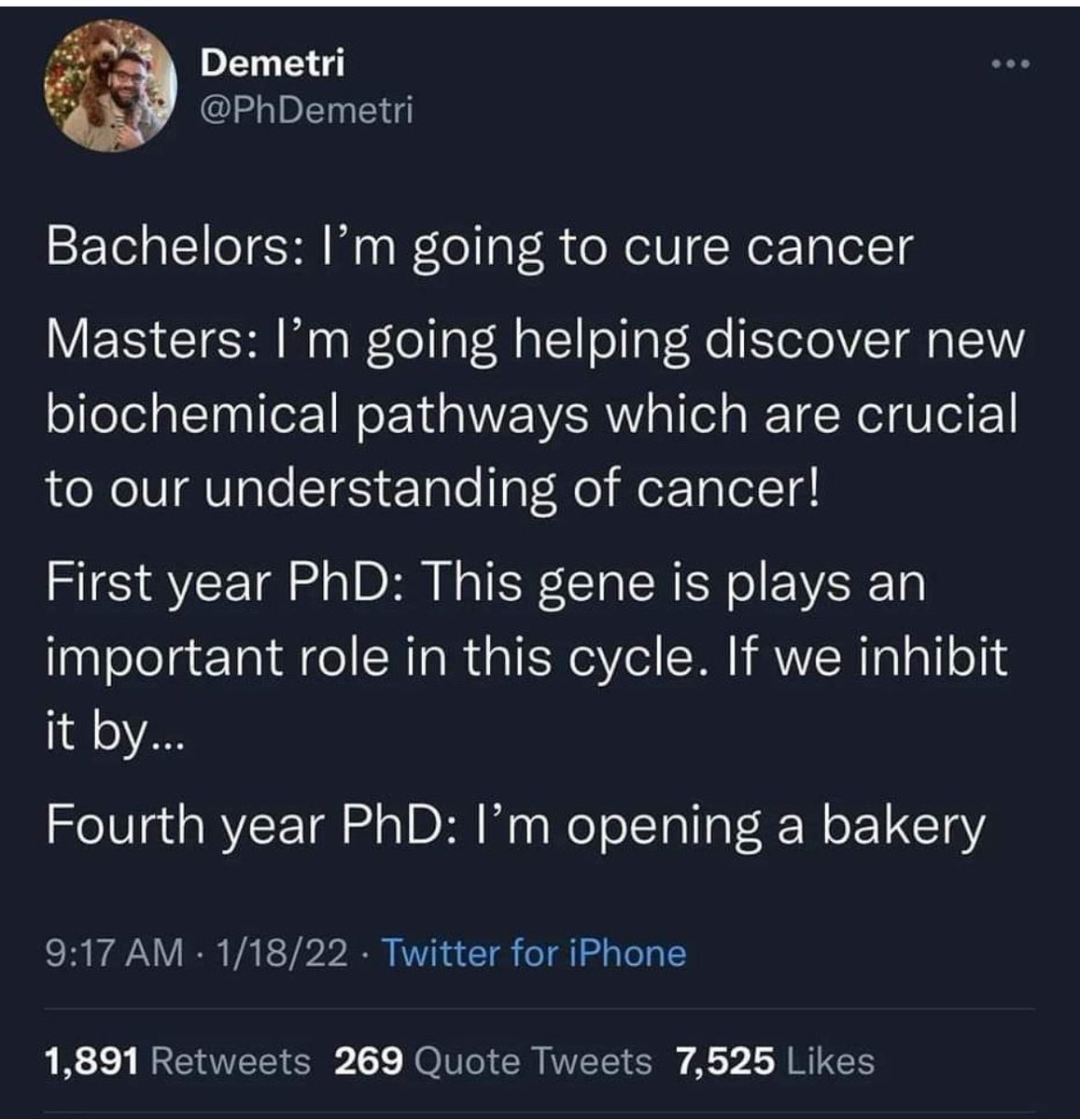 Anna Afferri, PhD tweet media