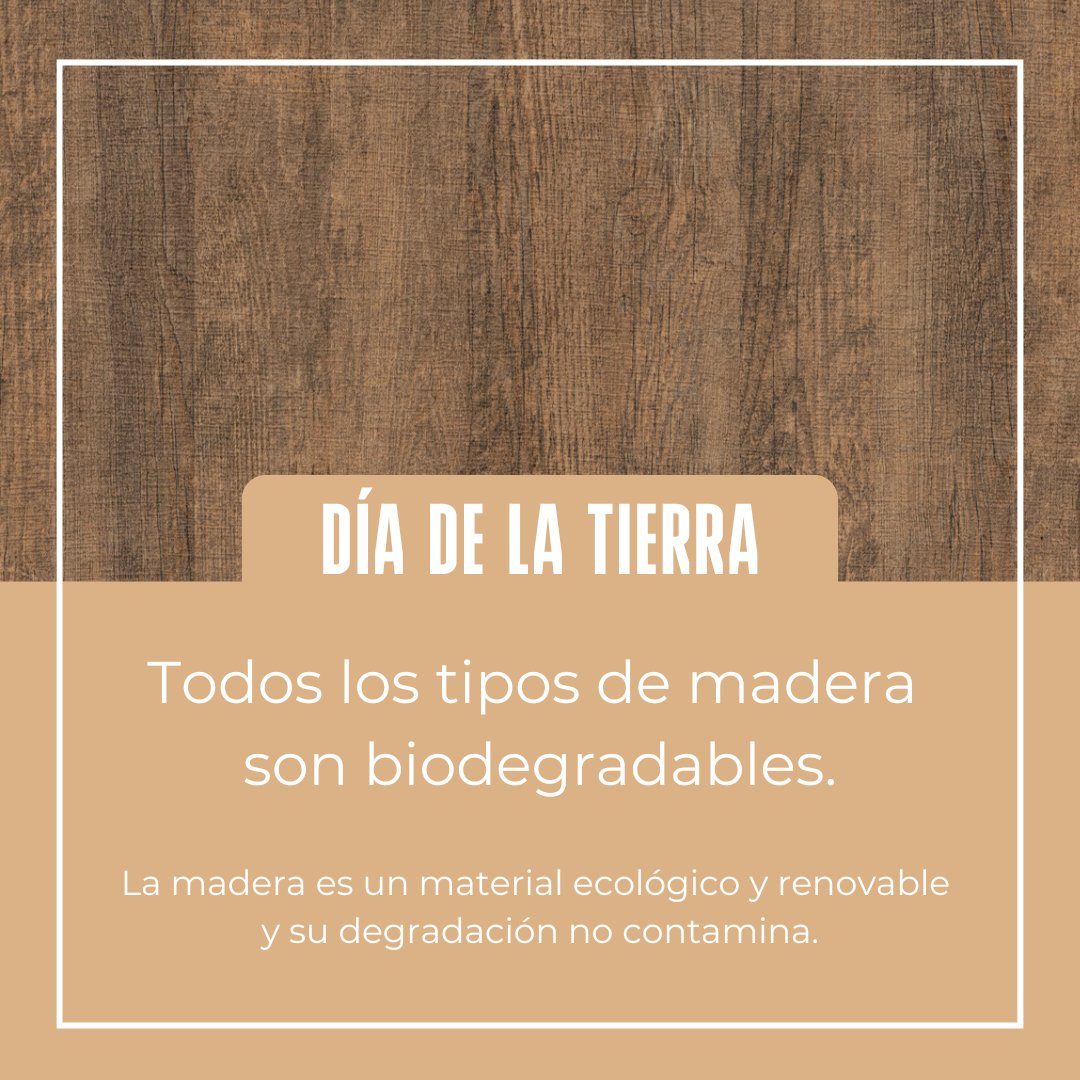 🪵La madera es la materia prima más ecológica que existe, es: biodegradable (su descomposición es favorable para el suelo), natural, reciclable y renovable (si se mantienen unos niveles de producción controlados) #Madera #DiaDeLaTierra #MesDeLaTierra #LaTierra #Ecologico