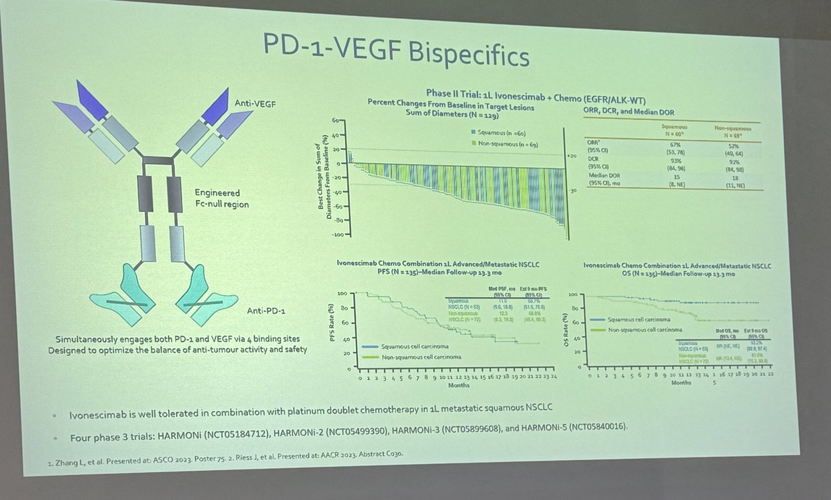 Dr. @peters_solange at #RomeLung24 with a dynamic discussion of next generation checkpoint inhibitors. Beyond PDL1, many disappointments but the future is bright with novel targets and elegant bispecific antibodies.