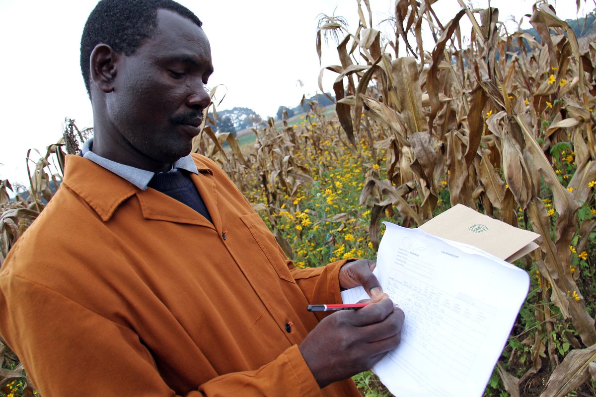 🌱 Funding opportunity !

📢 1000FARMS is excited to announce a new call for proposals to support 5 catalytic small projects that leverage the tricot approach for on-farm testing of late-stage breeding materials!

🖥️ For more information visit 1000farms.net

#breeding