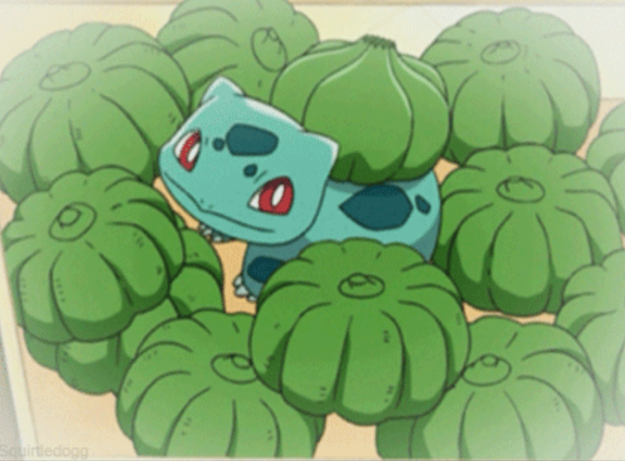 OoCPokemon's tweet photo. 🫶 https://t.co/Zh72Ai35pB