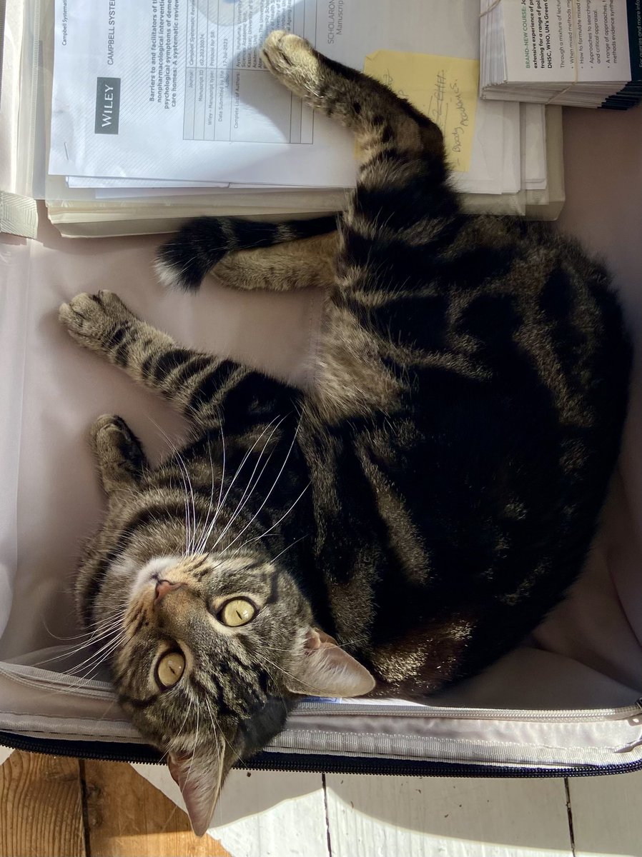 #Penzance folk. Our little tabby Norton (neutered male) is missing from Lescudjack Terr/ Britons Hill area. Please look out for him/ check sheds etc. He’s not used to being out. Chipped. 🙏 <a href="/Gamb0/">John Gamblin</a> <a href="/PenzanceHour/">PenzanceHour</a> <a href="/frankbatt/">Frank Batt 〓〓 🦇</a>