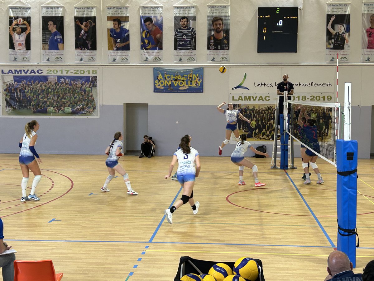 Castres Massaguel Volley-Ball tweet media