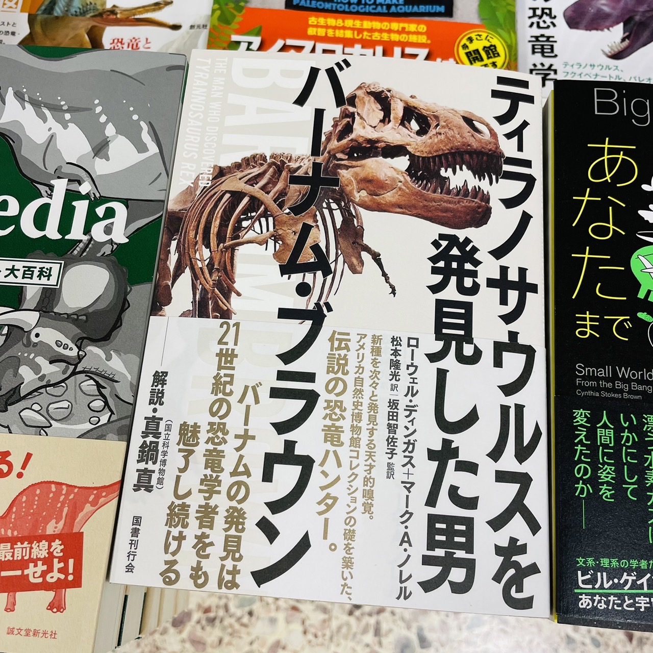 【送料無料】恐竜大百科事典 朝倉書店 送料無料】恐竜大百科事典 朝倉書店